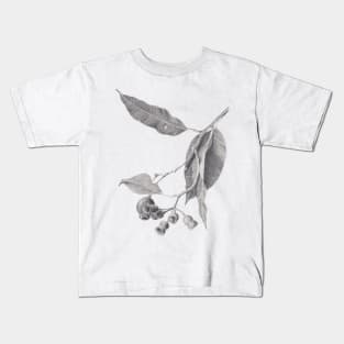 Eucalyptus tree branch with gum nuts - graphite drawing Kids T-Shirt